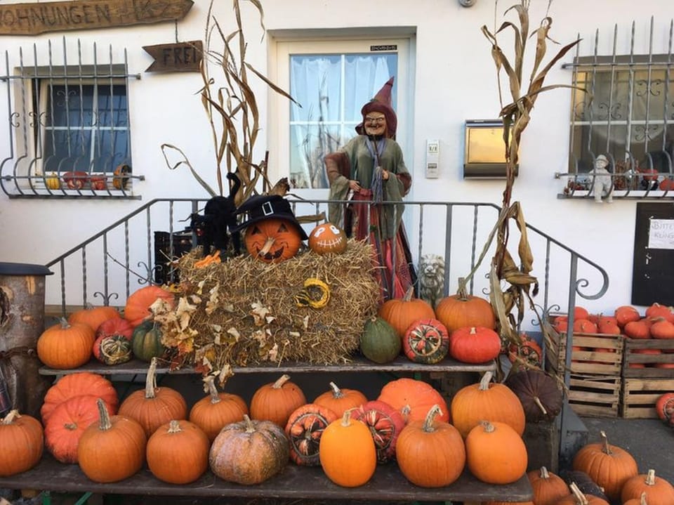 Ferienwohnung Kronengarten Apartment in Meersburg