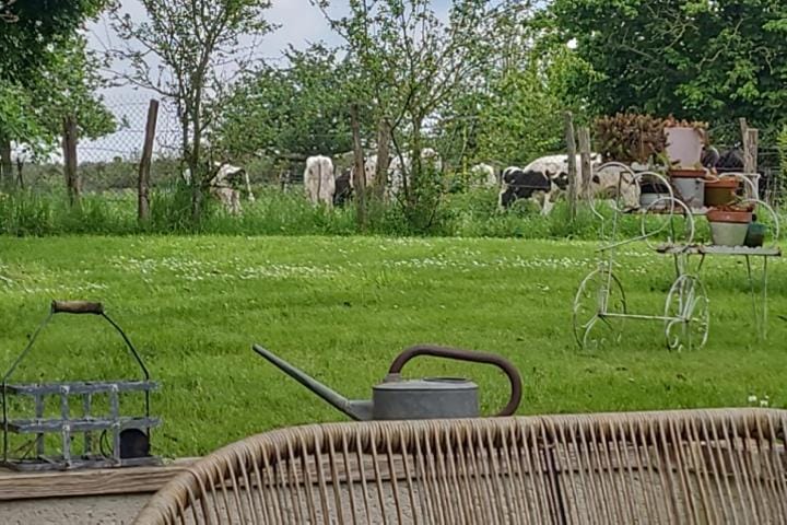 Natural landscape, Garden, Garden view