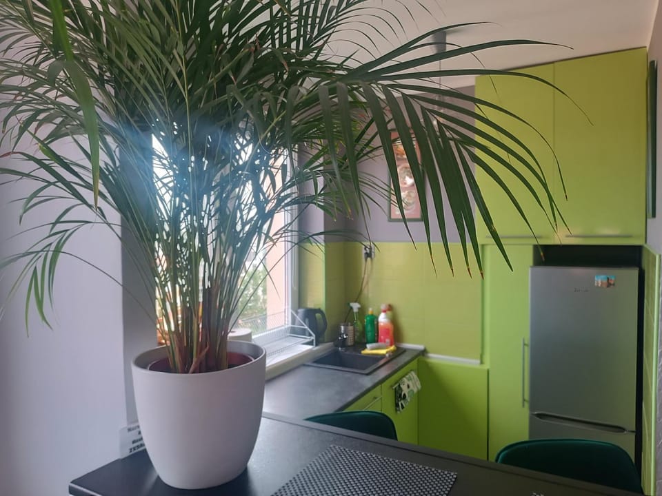 Apartament Długie Ogrody 2 pokojowy Apartment in Gdansk