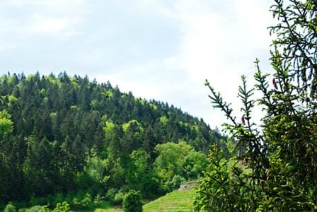 Day, Natural landscape