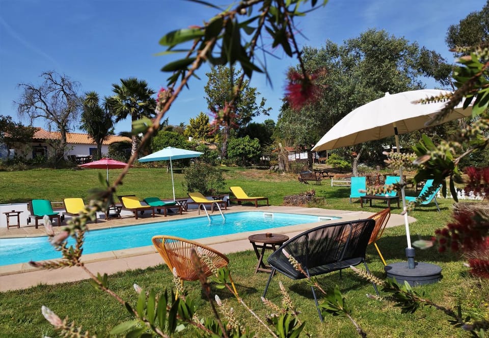 Spring, Day, Natural landscape, Garden, Garden view, Pool view, Swimming pool, sunbed