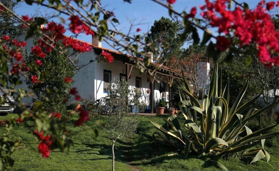 Property building, Facade/entrance, Spring, Day, Natural landscape, Garden, Garden view