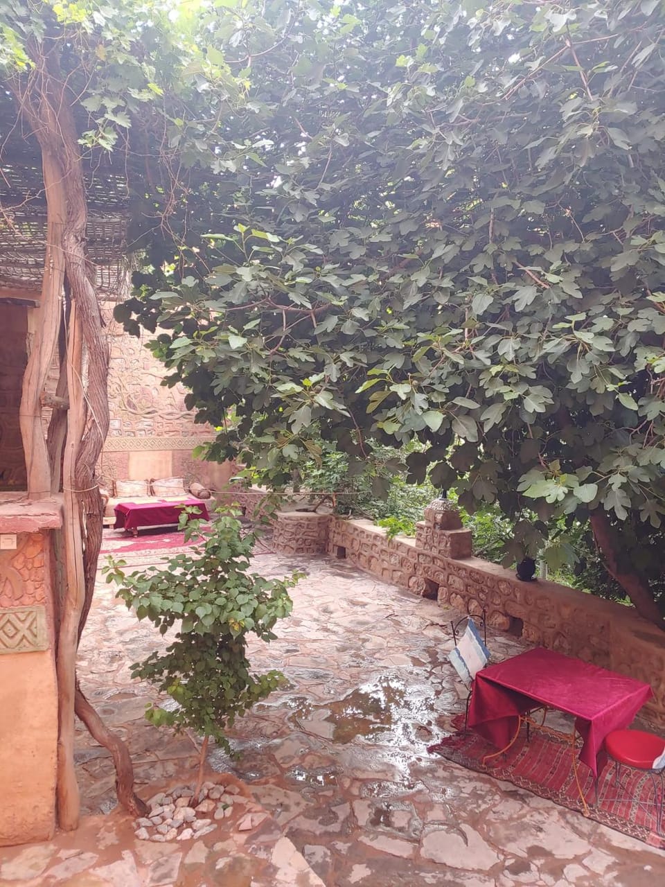 Riad Atlas Berbère Vacation rental in Morocco