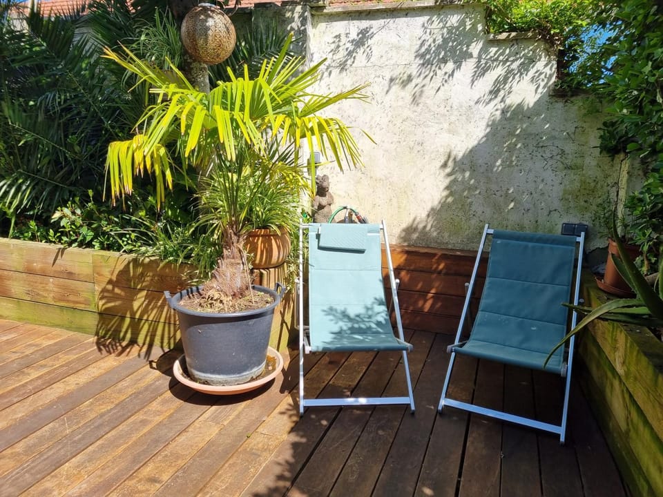 Patio, Garden, Garden view, sunbed