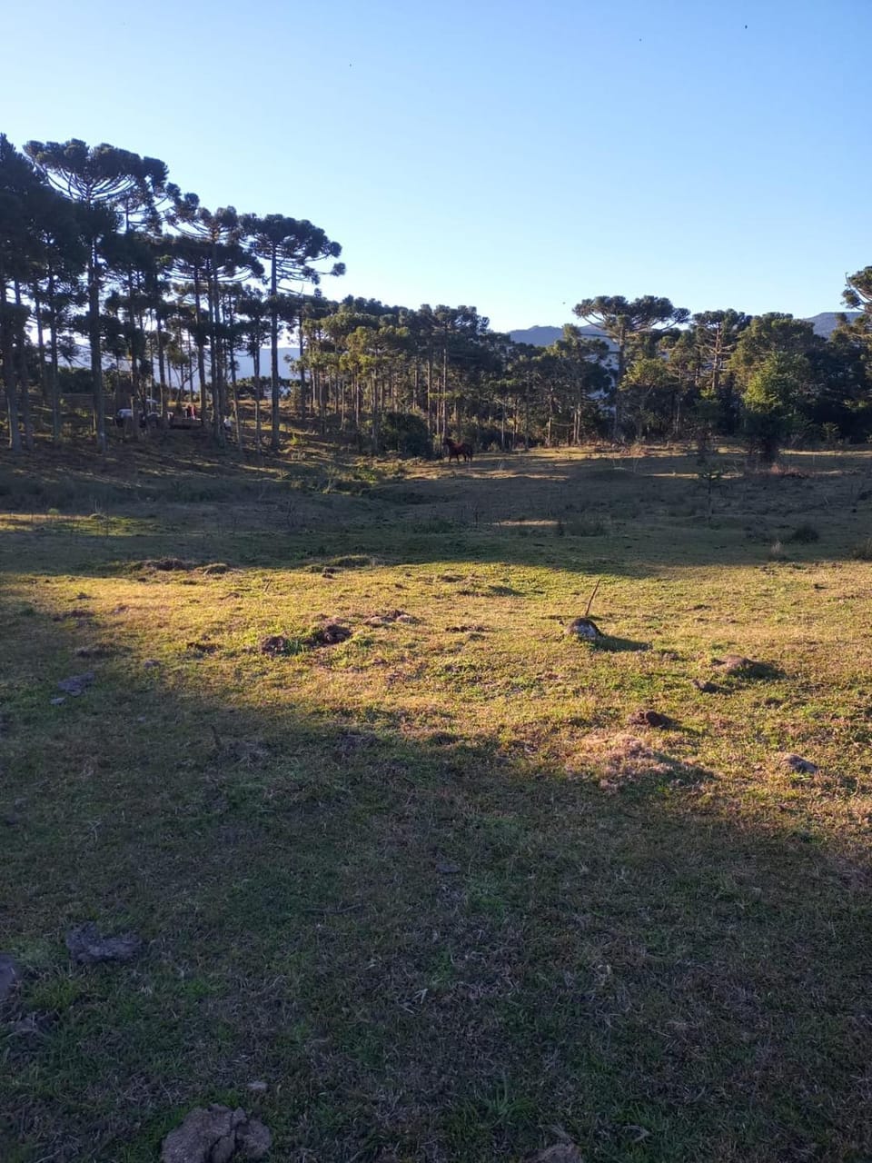 Natural landscape