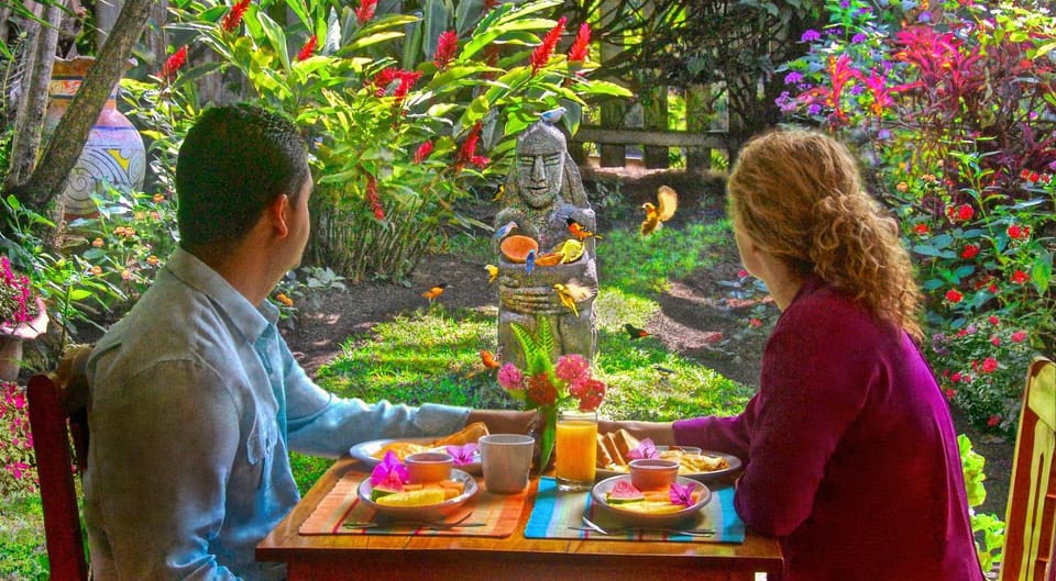 Garden, View (from property/room), Seating area, Garden view, Breakfast, American breakfast