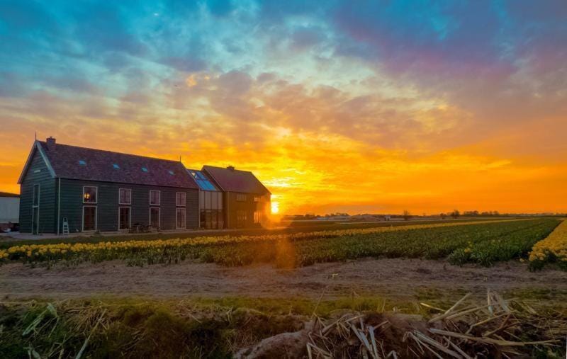 De Groene Bollenschuur Bed and Breakfast in South Holland (province)