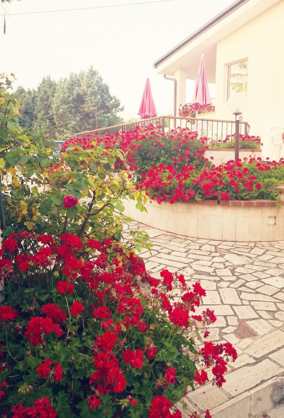 B & B Villa Lena Bed and Breakfast in Apulia