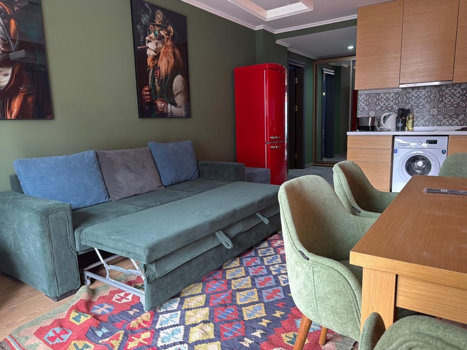 Bed, Kitchen or kitchenette, Living room, Dining area, stove, toaster, washing machine