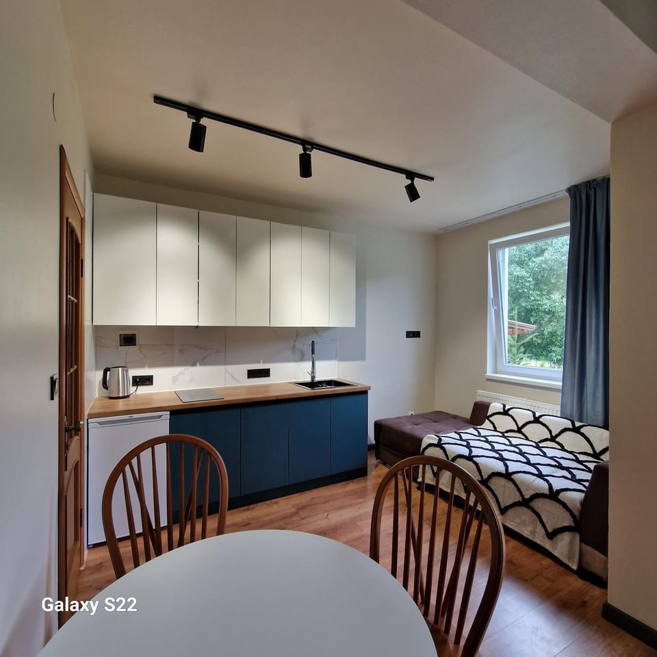 Kitchen or kitchenette, Seating area, Dining area