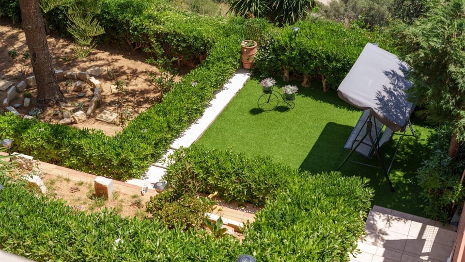 Garden, Garden view, Garden view