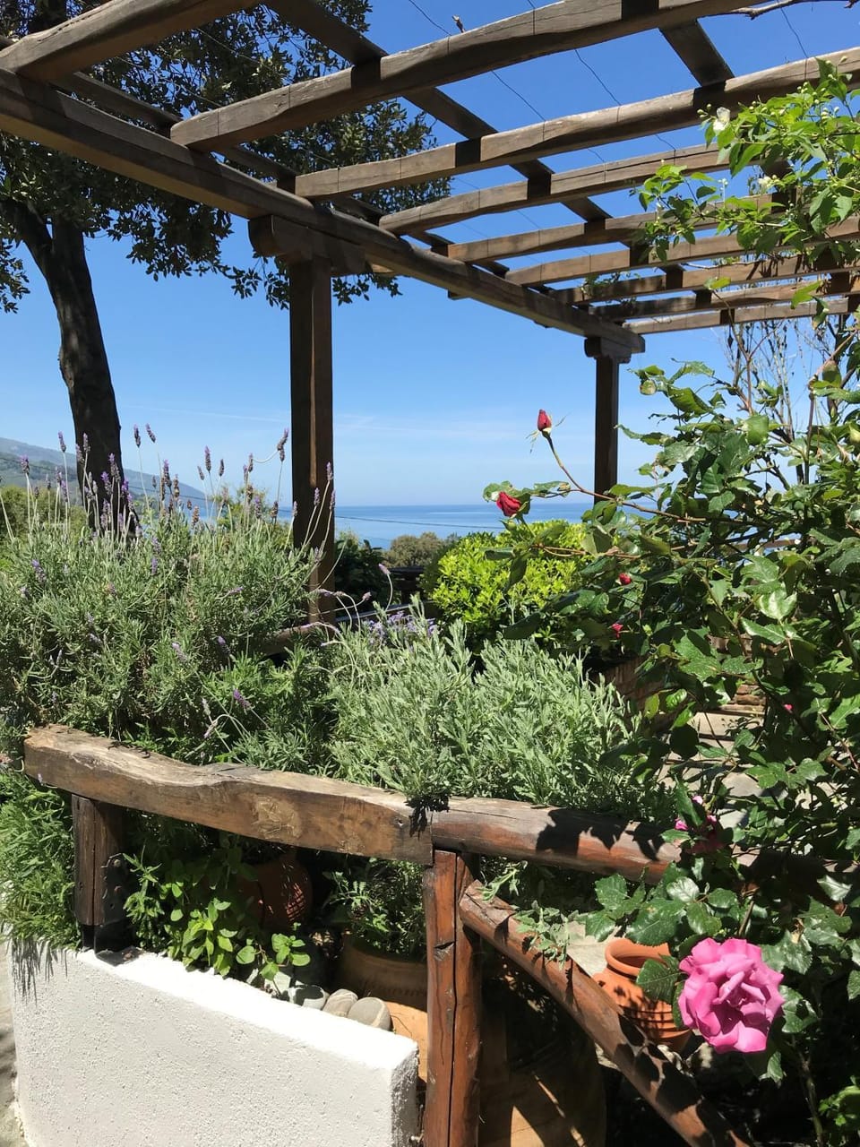 Garden, Garden, Balcony/Terrace
