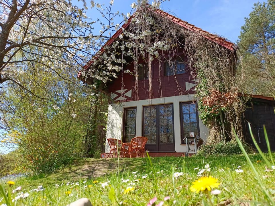 Birchy Hills Apartment in Pomeranian Voivodeship
