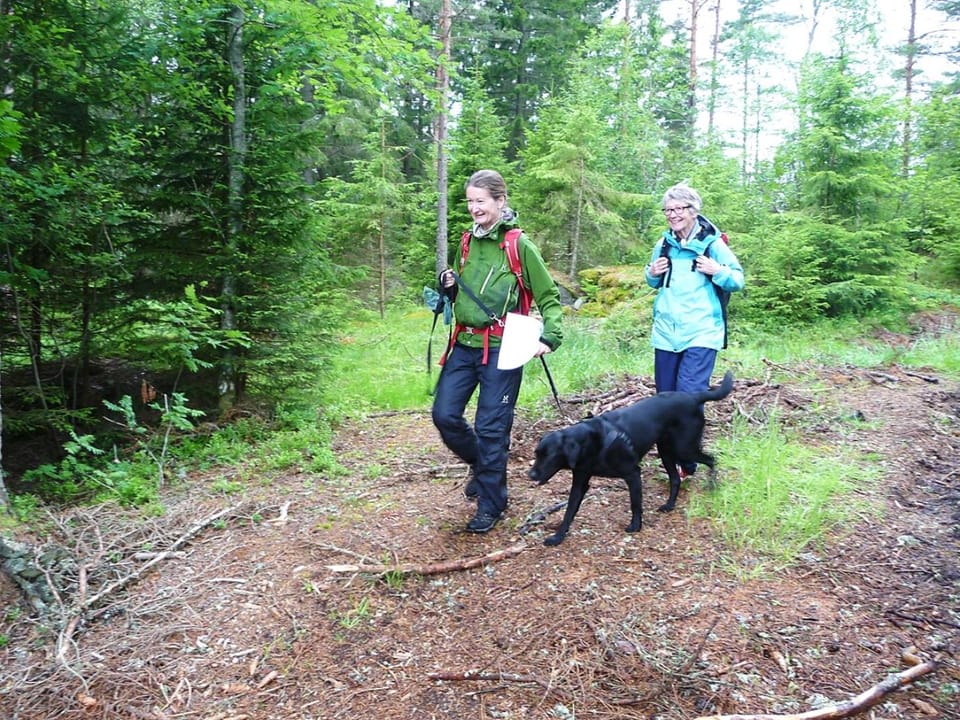 Hiking