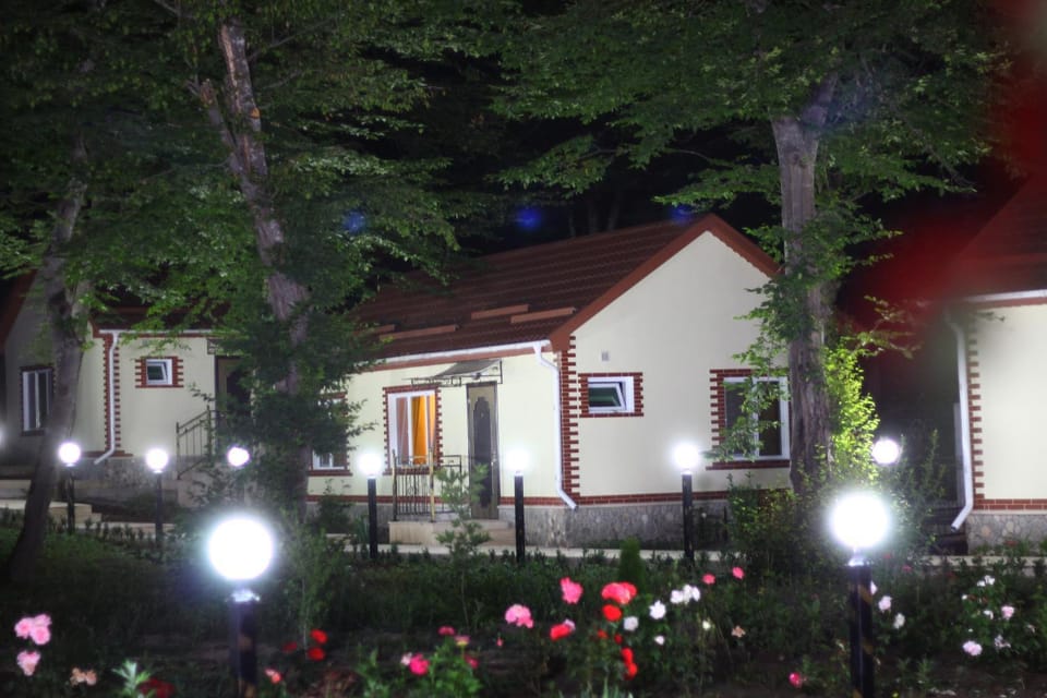 Patio, Patio, Garden