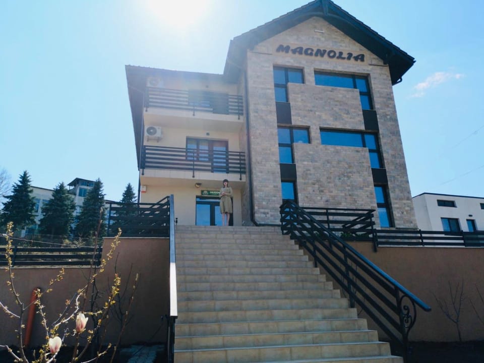 Pensiunea Magnolia Bed and Breakfast in Craiova
