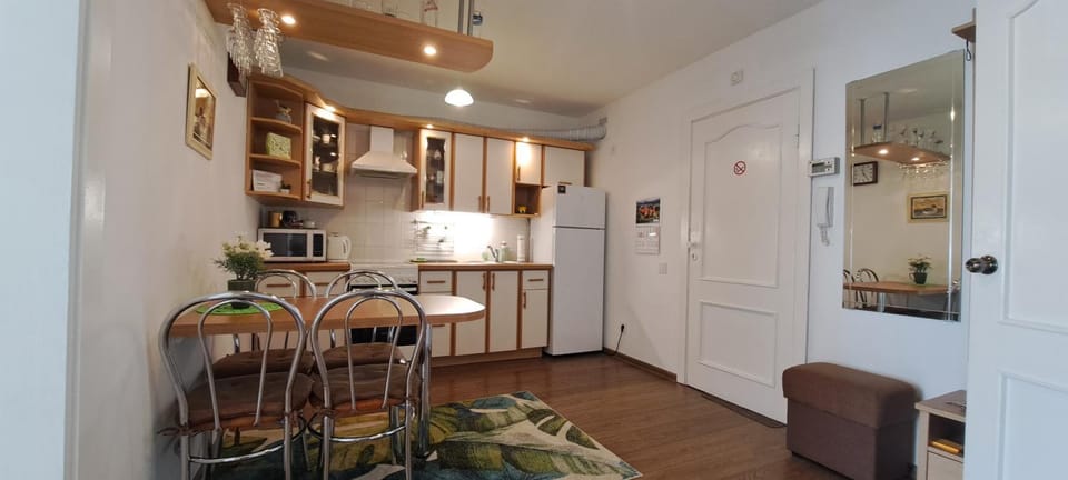 Kitchen or kitchenette, Dining area, oven, stove