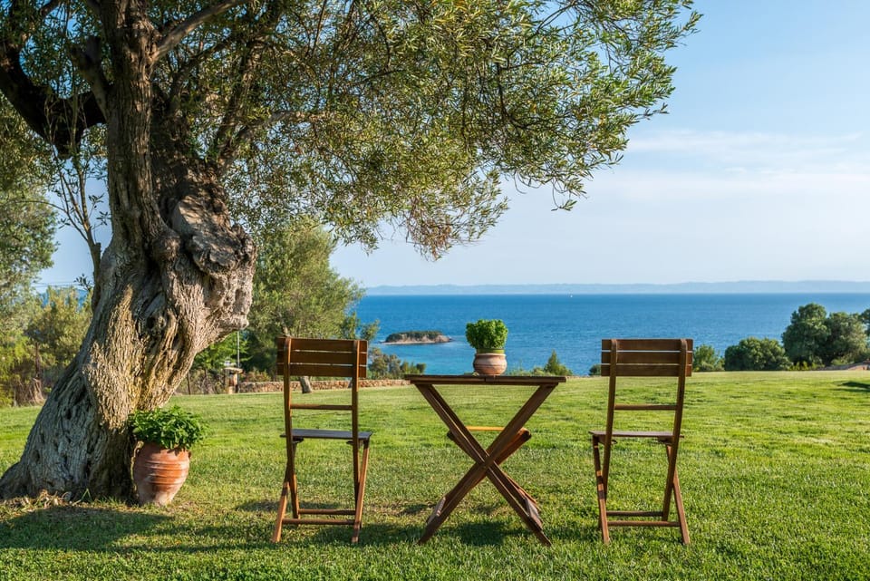 Natural landscape, Garden, Sea view