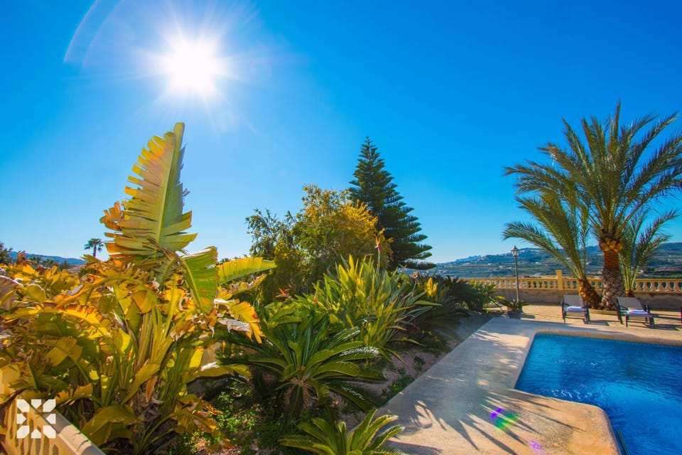 Day, Natural landscape, Garden, Garden view, Pool view, Swimming pool, sunbed