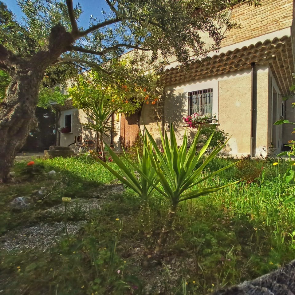 Property building, Facade/entrance, Garden