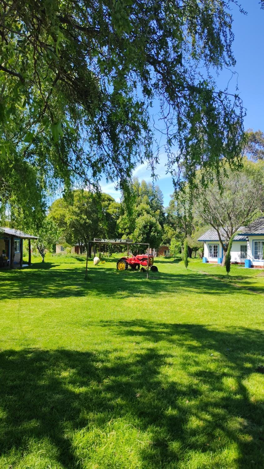 Day, Natural landscape, Garden, Garden view