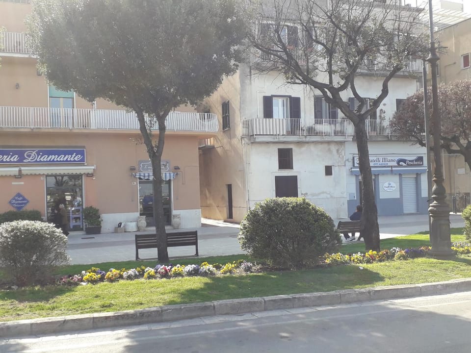 Neighbourhood, Street view, Location