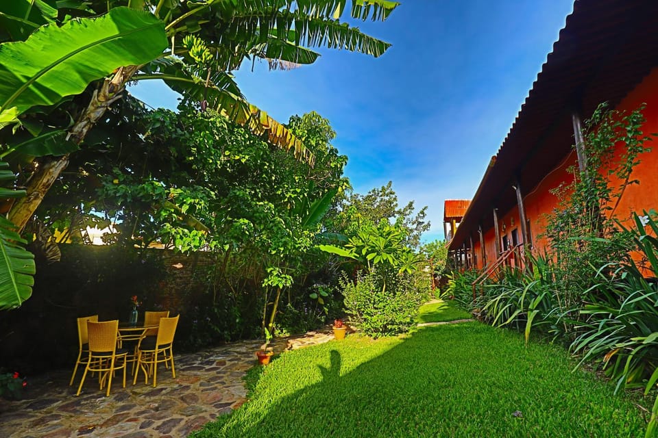 Garden view