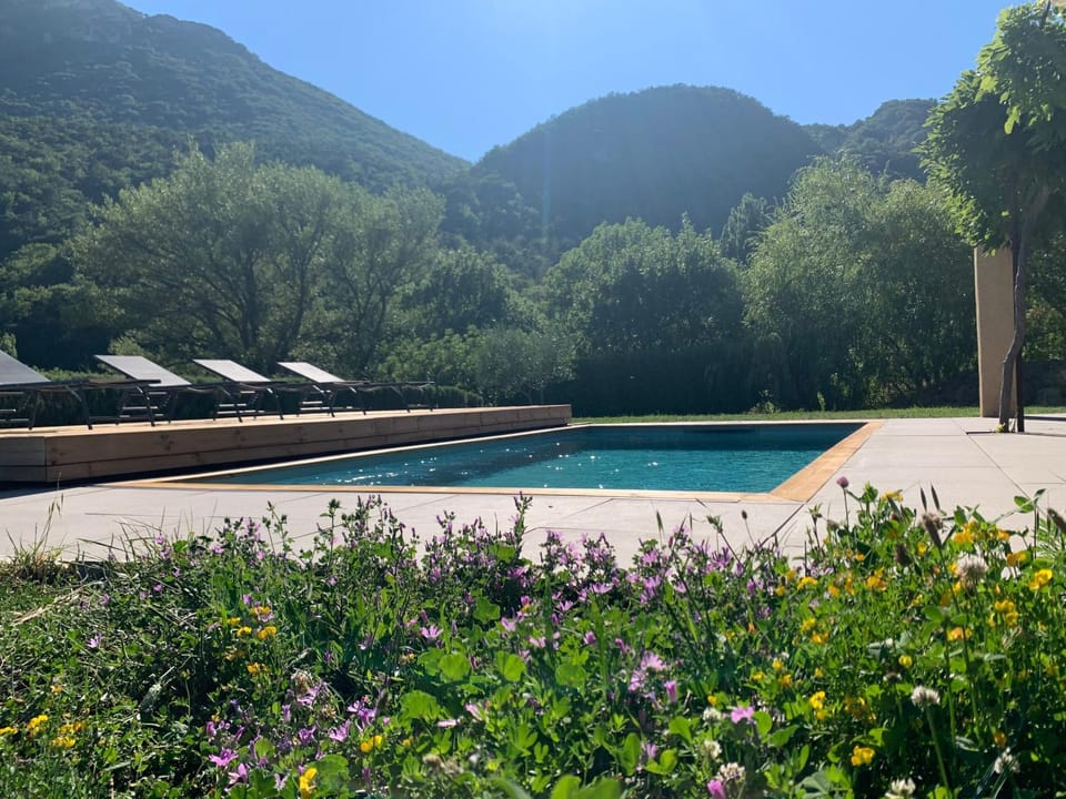 Natural landscape, Garden, Swimming pool