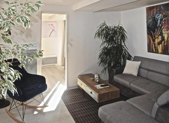 Gîte, location meublé de tourisme 3 étoiles Apartment in Centre-Val de Loire