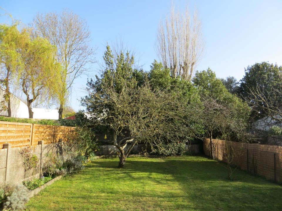 Garden, Garden view