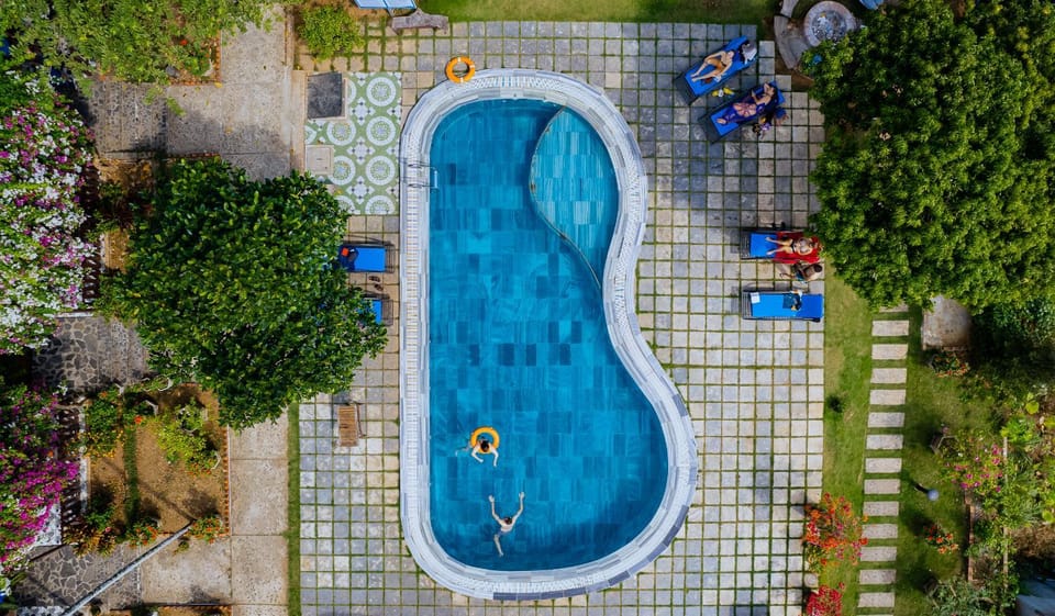 Garden, Swimming pool, Swimming pool