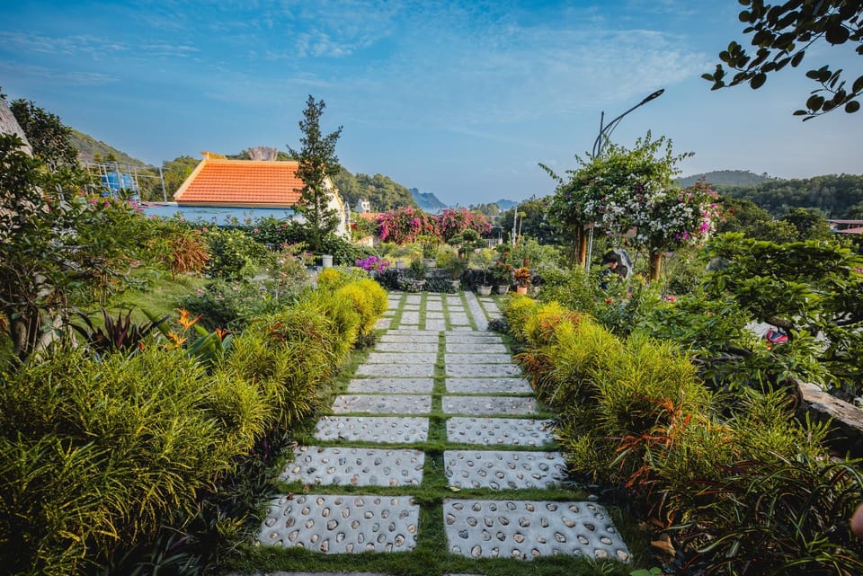 Natural landscape, Garden, Garden view