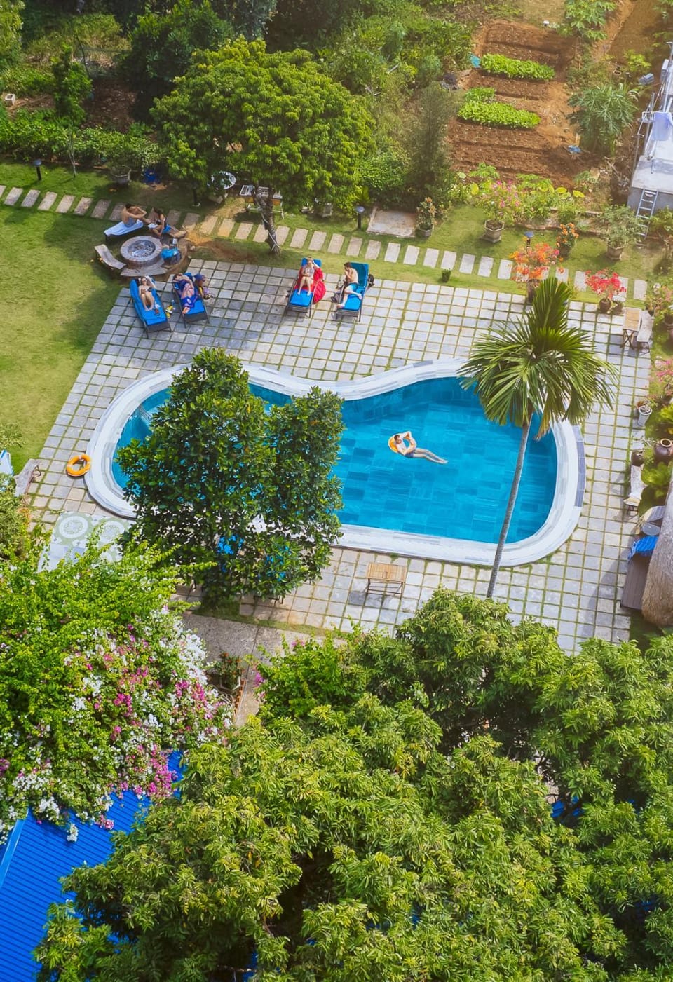 Garden, Swimming pool, Swimming pool