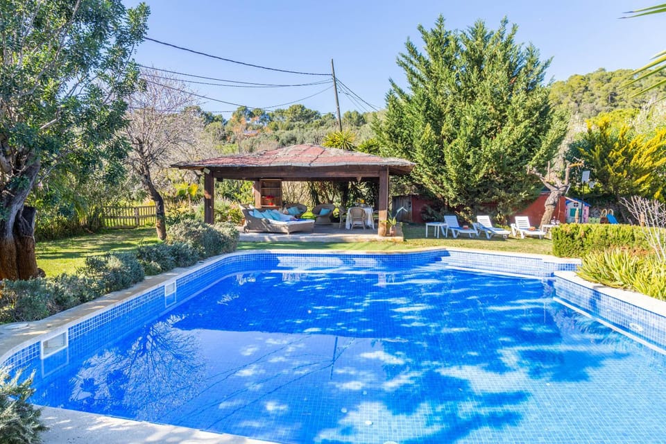 Garden, Garden view, Pool view, Swimming pool, Swimming pool