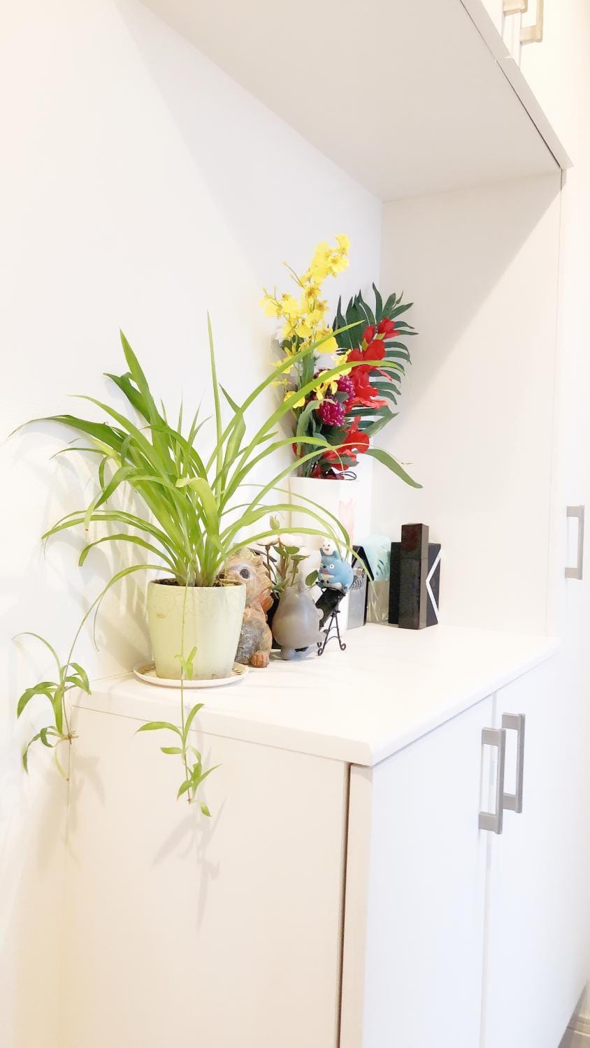 竹内公寓 Apartment in Chiba Prefecture