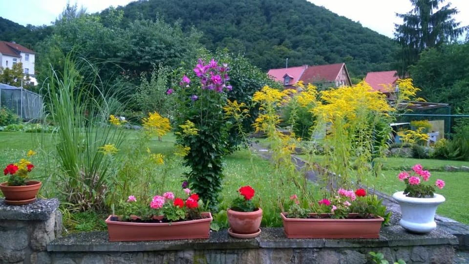 Ferienwohnung Bergblick - inklusive Bodetal Therme Apartment in Thale