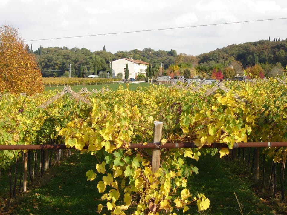 Agriturismo Le Caldane Farm Stay in Lake Garda