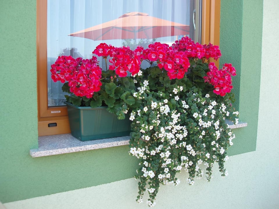 Decorative detail