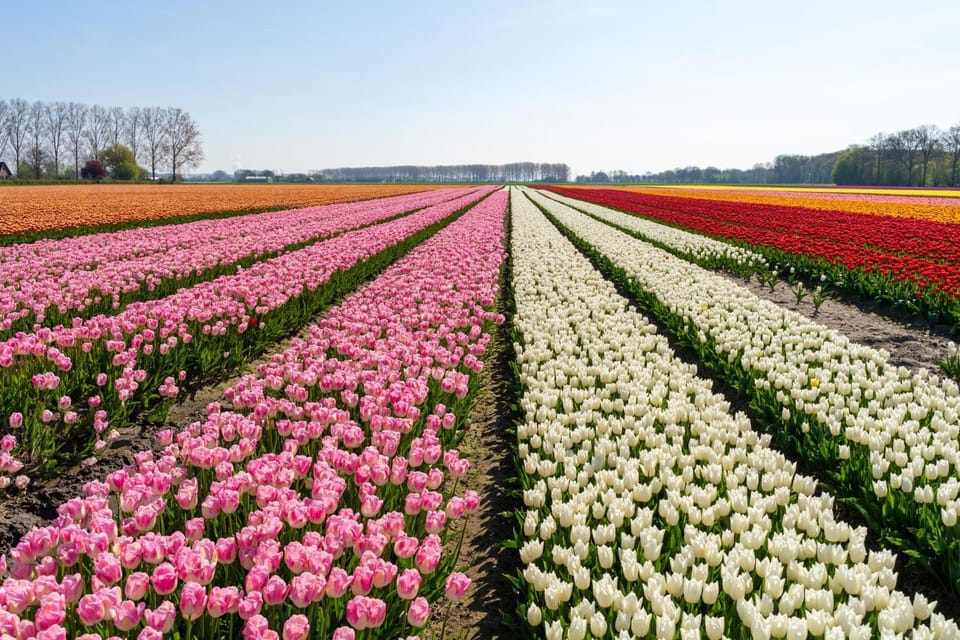 Natural landscape