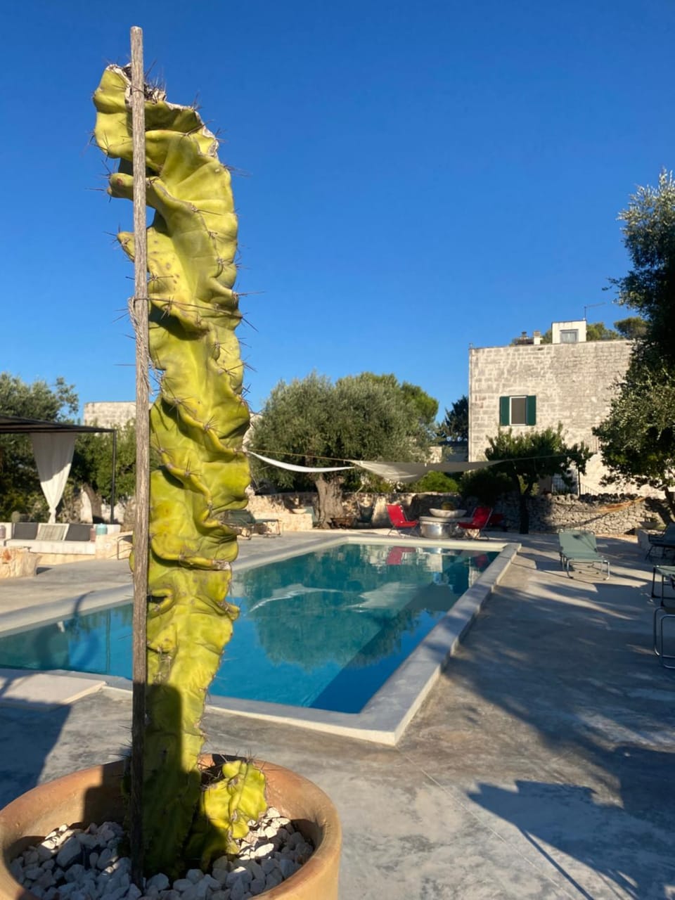 Masseria Serafino Ostuni Apartment in Province of Taranto