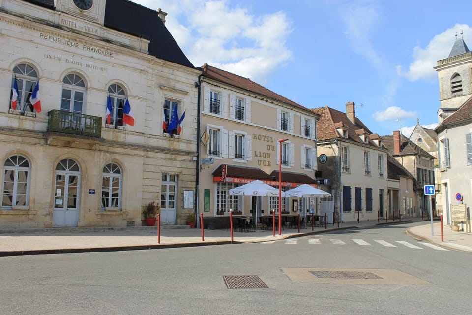 Hôtel du lion d'or Hotel in Bourgogne-Franche-Comté