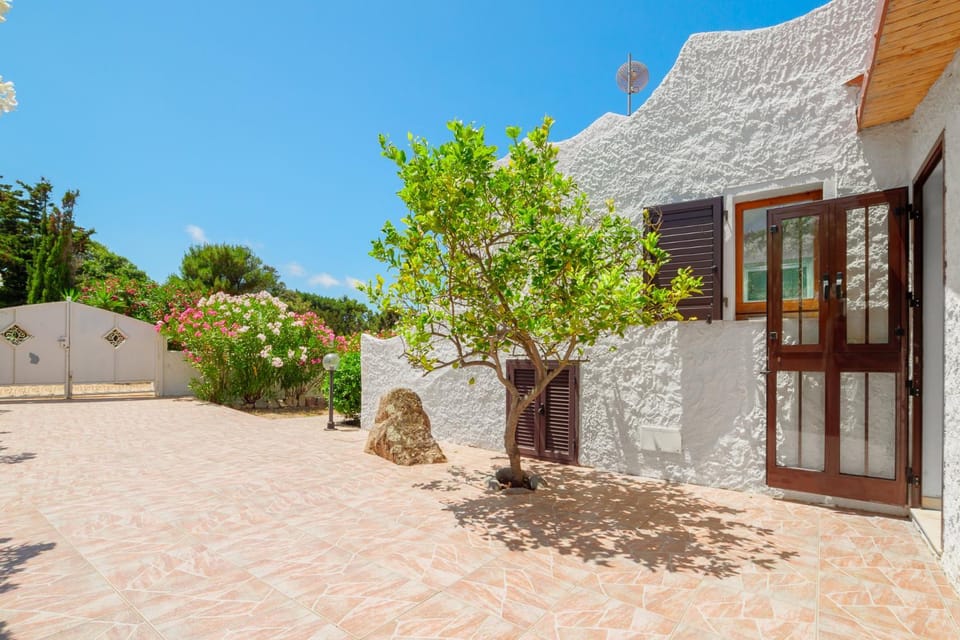 Property building, Garden view