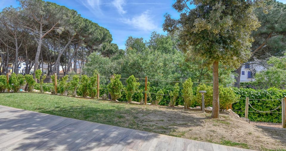 Patio, Garden, Garden view