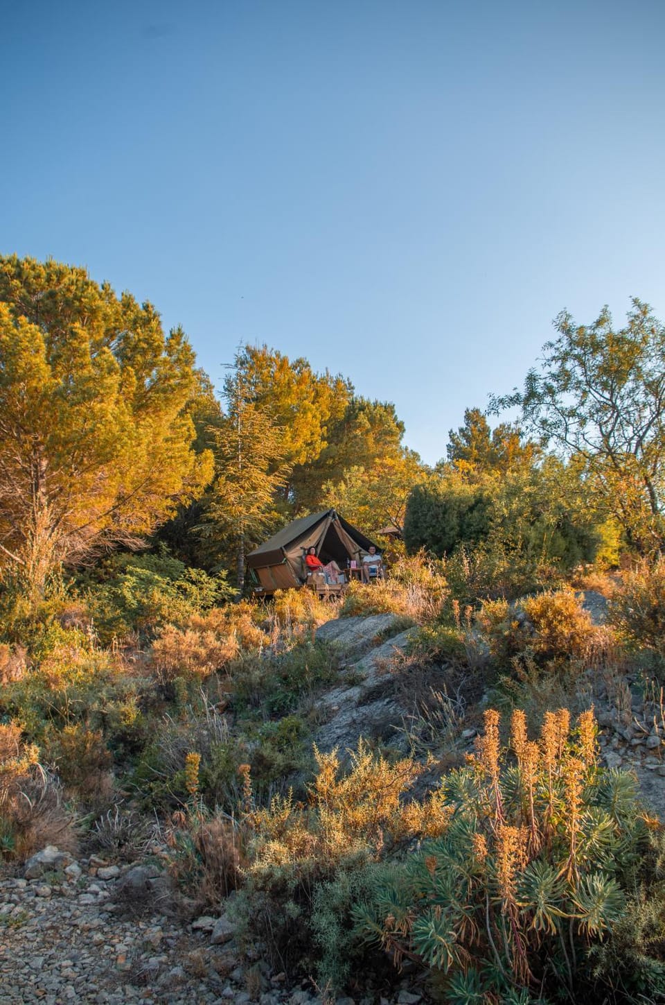 Natural landscape