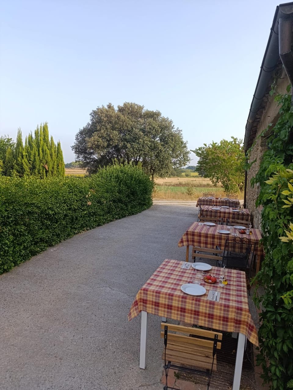 Restaurant/places to eat, Summer