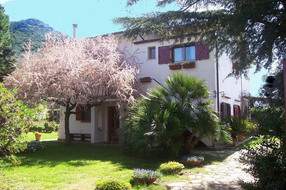 Property building, Garden view