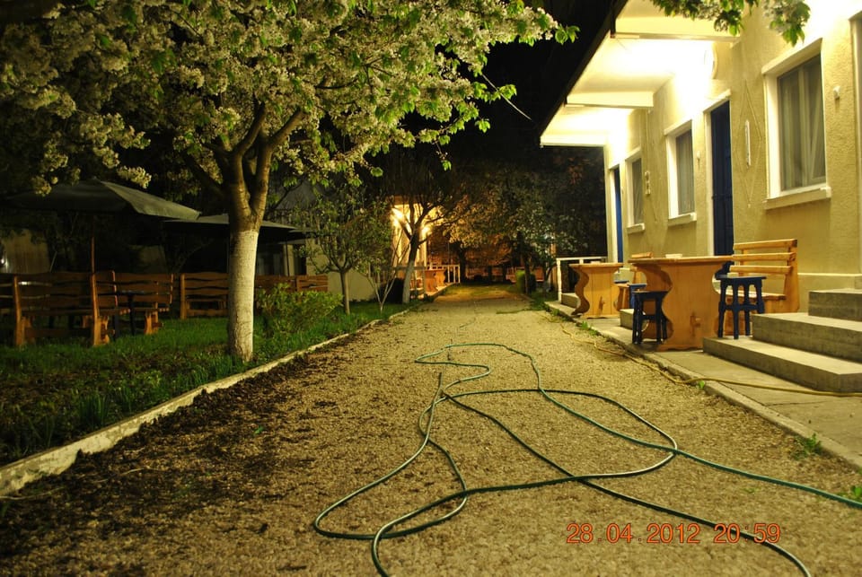 Property building, Night, Garden view