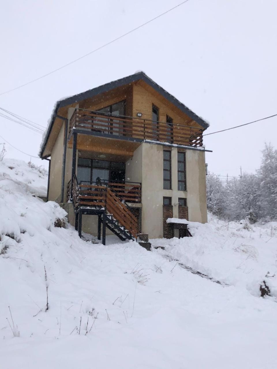 Cottage in Gudauri House in Georgia