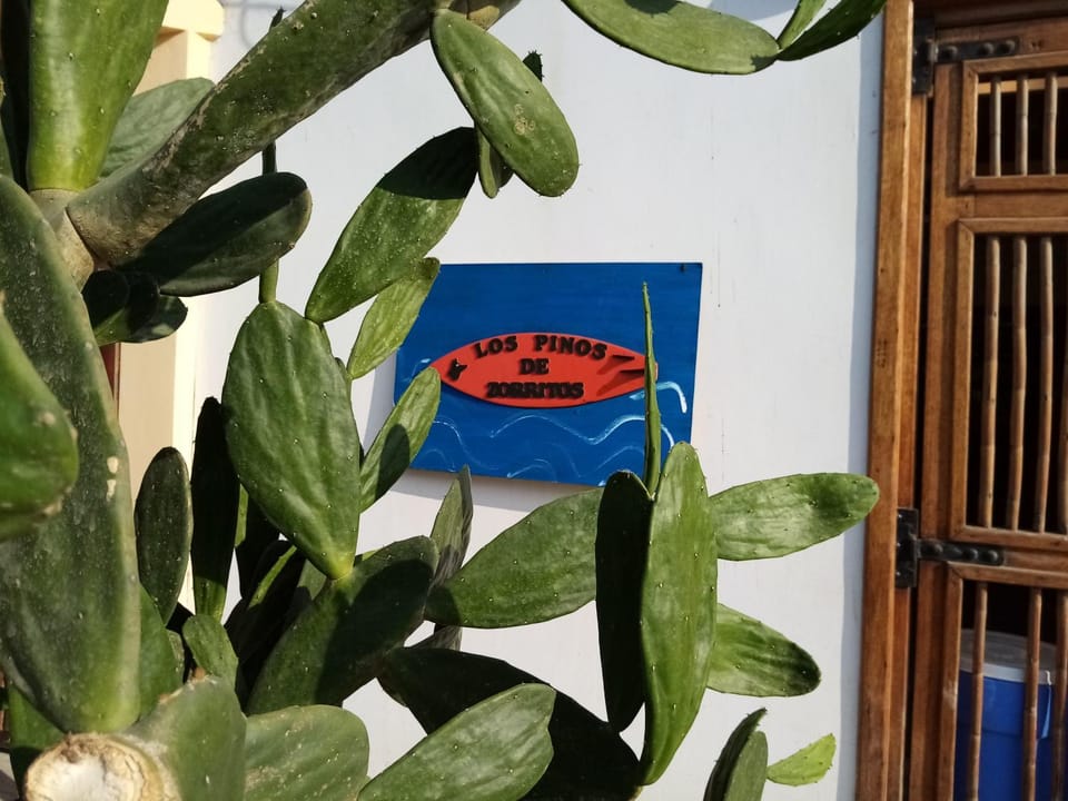 Decorative detail