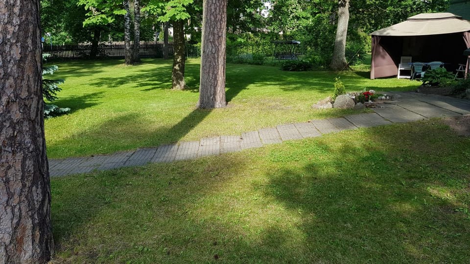 Garden view